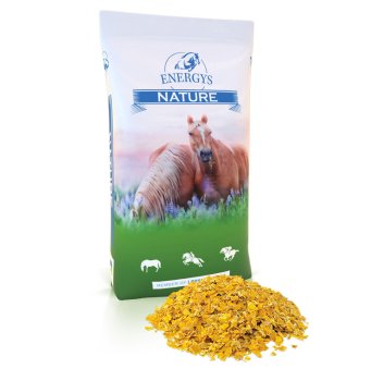 Energys Cornflakes 15kg