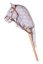 Hobby Horse HKM Mini