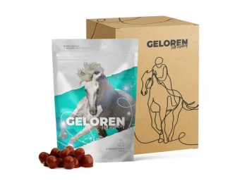 Geloren Horse