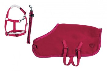 Set HKM deka + ohlávka s vodítkem Cuddle pony