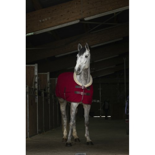 Deka odpocovací Equi Theme