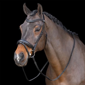 Uzdečka Imperial Riding
