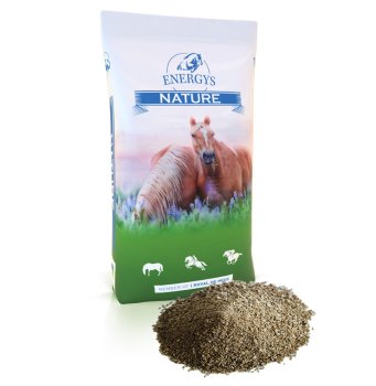 Sladový květ Energys sypký 20kg