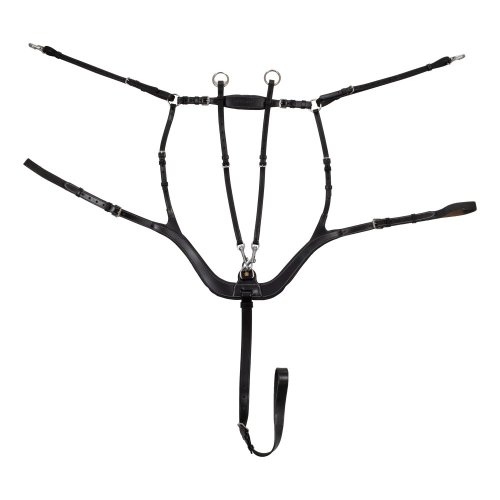 Poprsník Equestro 5bodový anatomický