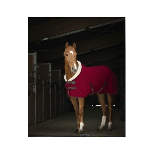 Deka odpocovací Equi Theme