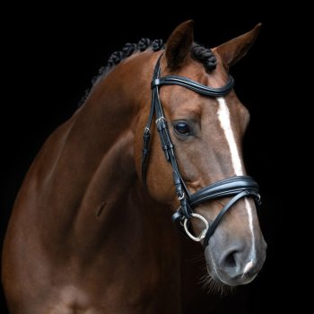 Uzdečka Imperial Riding Classic