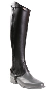 Chaps Hippica Elastic