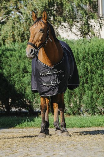 Deka letní Riding World Brillante