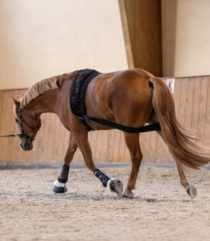 Body bandáž Waldhausen - pro aktivaci zádě