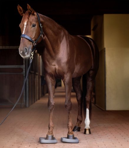 Balanční podložka Health + Care Waldhausen