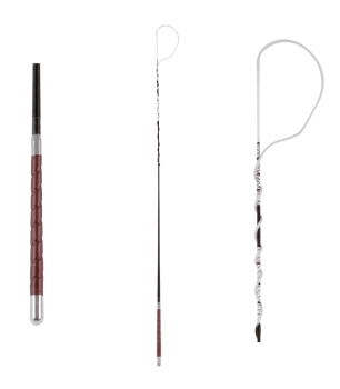 Bič vozový Waldhausen