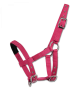 Hříběcí
