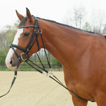 Gogue Busse basic cob/full černý