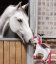 Hračka pro koně Waldhausen Unicorn Emily