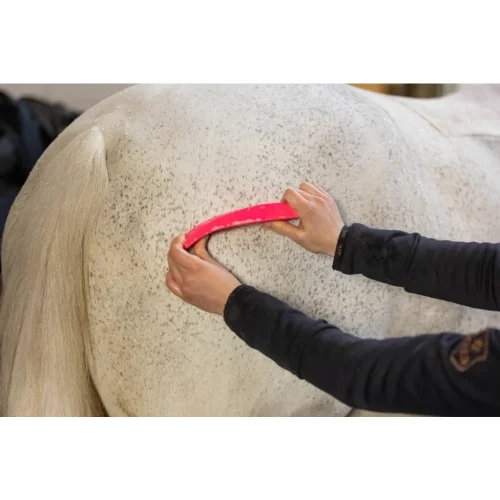 Kartáč Excellent grooming brush L