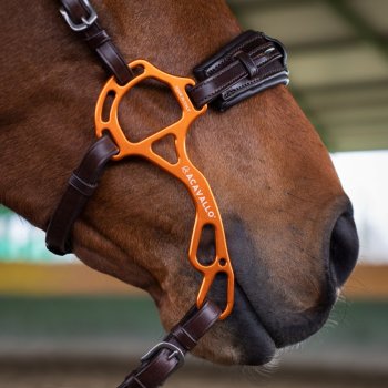 Hackamore Acavallo Alupro