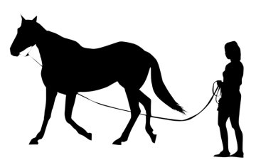 Lonžovací potřeby pro koně - Barva - černá