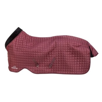 Deka Equiline stájová 200g Adonis