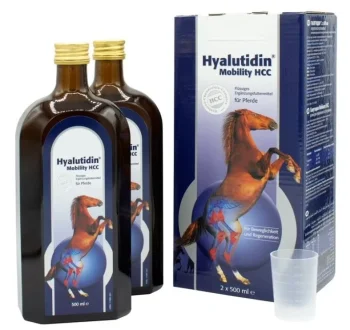 Hyalutidin Mobility HCC 2x500ml