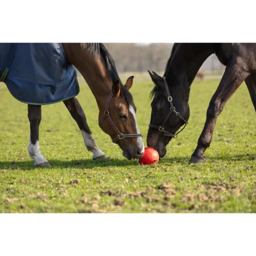 Míč Excellent Horse funny play