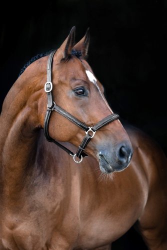 Ohlávka Horze kůže Soft