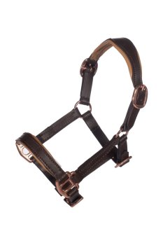Ohlávka HKM kožená Hobby Horse