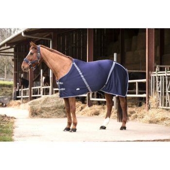 Deka EquiTheme Drier
