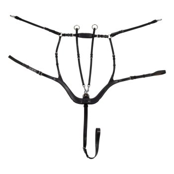 Poprsník Equestro 5bodový anatomický
