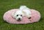 Psí pelech HKM Fluffy 70x25cm