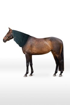 Krční díl Horze Glasgow pony