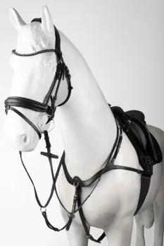 Poprsník Horze Hampstead