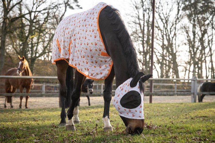 Deka síťová HKM Aperol Splash