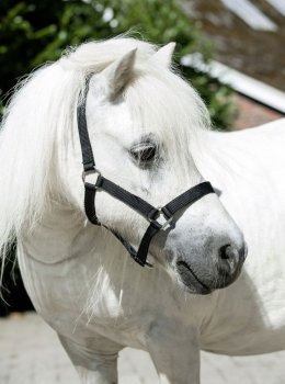 Ohlávka HKM Mini Shetty