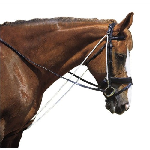 Chambon pevný Norton